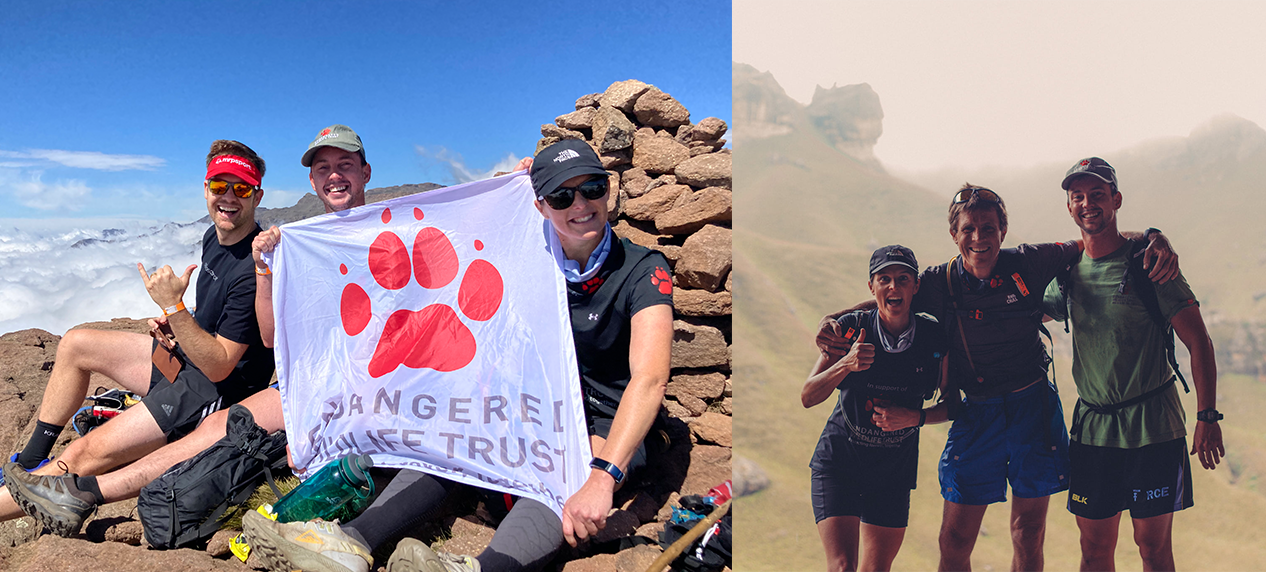 Rhino Peak Challenge participants running in Drakensberg mountains