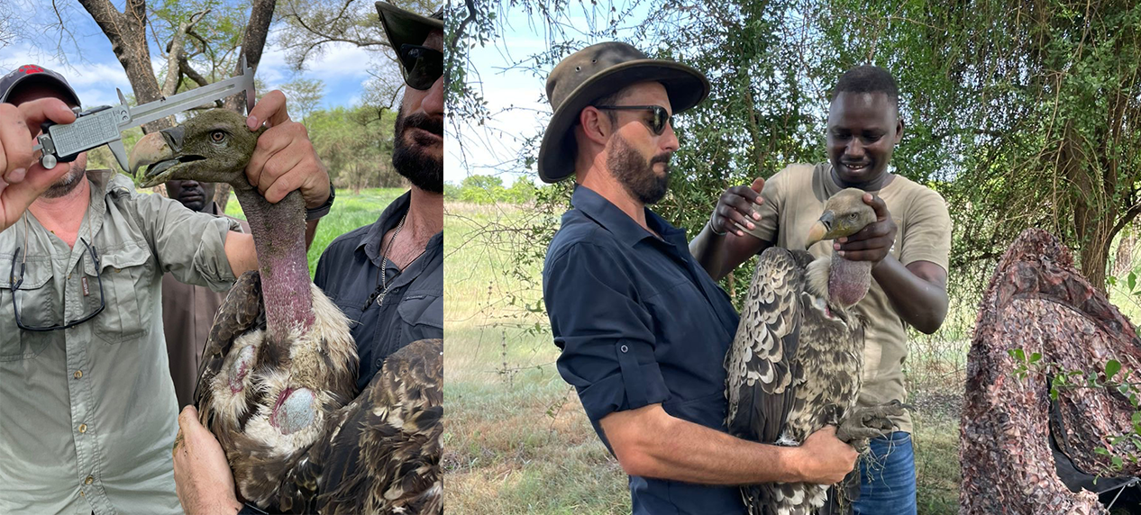 African Parks collaboration wildlife tracking expedition