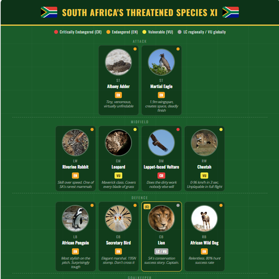 South Africa’s Threatened Species XI: A World Cup Starting Lineup You Can’t Afford to Lose