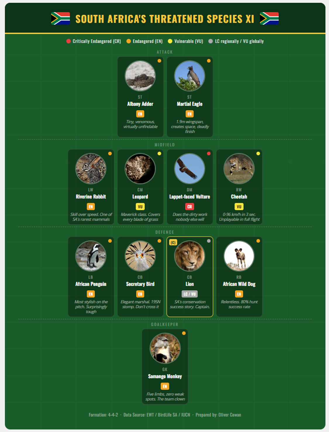 South Africa threatened species XI conservation football lineup concept