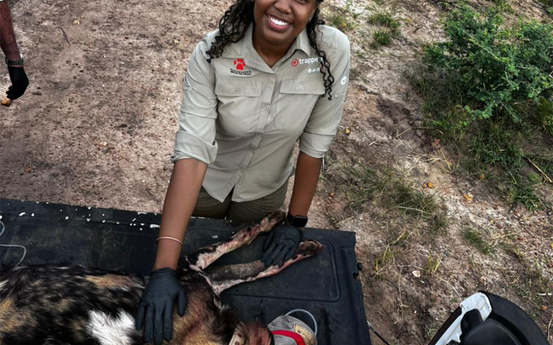 The passion and insights of EWT Youth about conservation