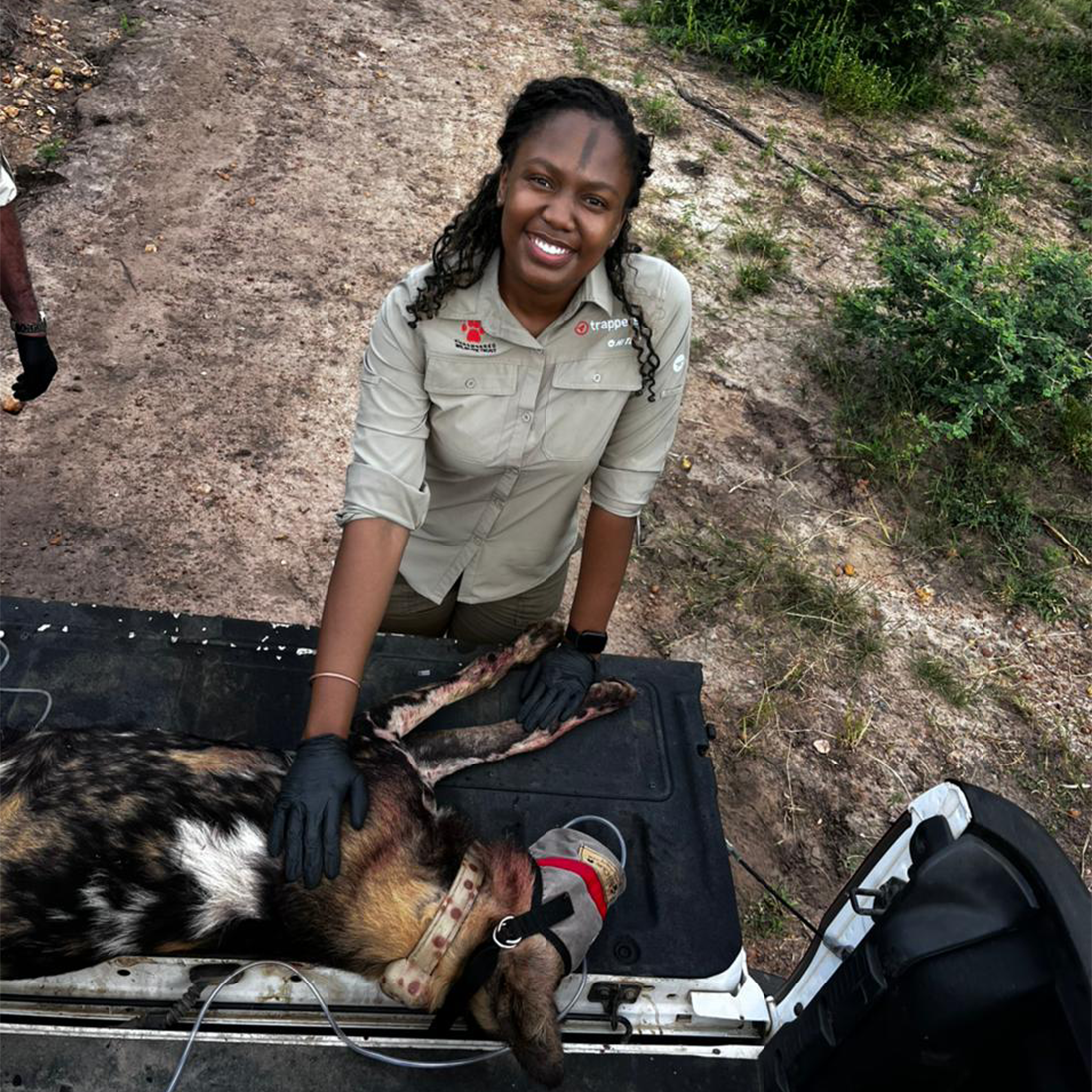 The passion and insights of EWT Youth about conservation