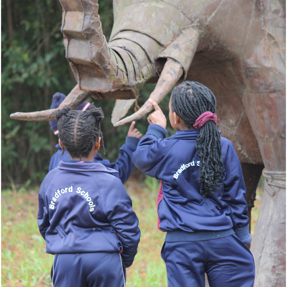 The Future Wears School Shoes | Inspiring the next generation of wildlife guardians.