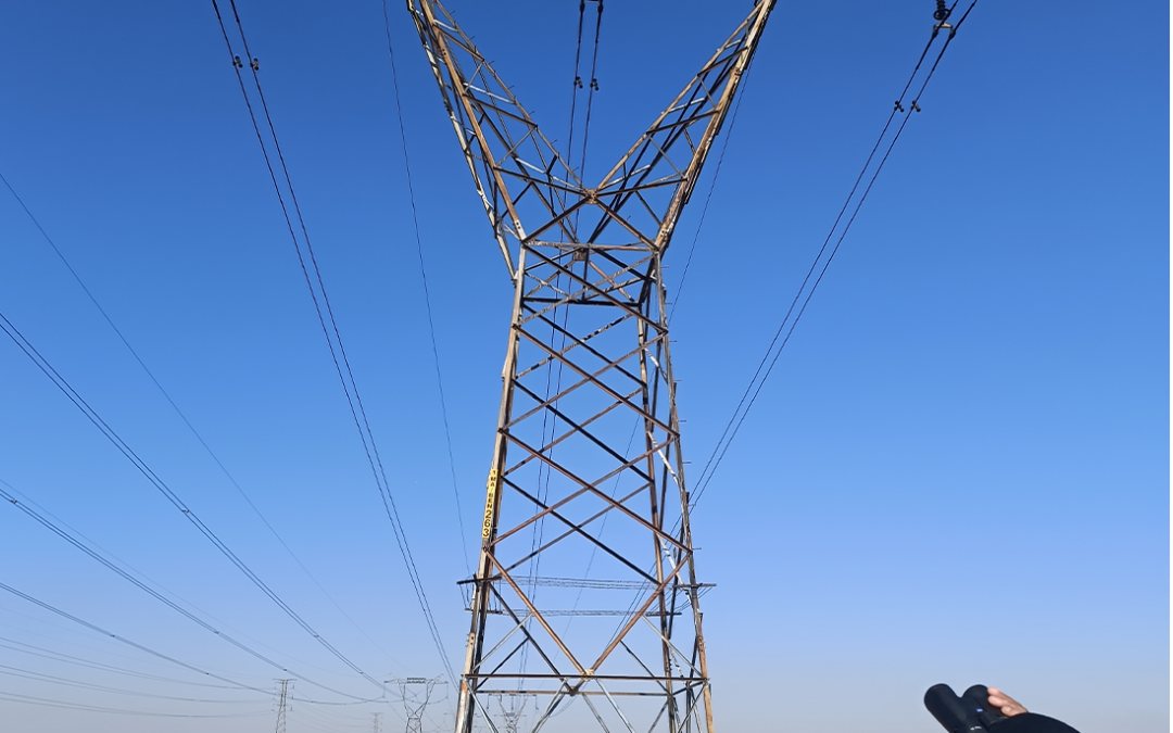 Planning for Flight Paths: Bird Monitoring at Energy Infrastructure