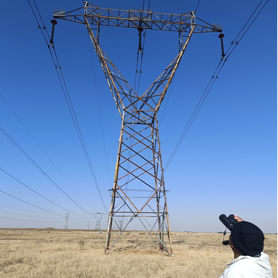 Planning for Flight Paths: Bird Monitoring at Energy Infrastructure