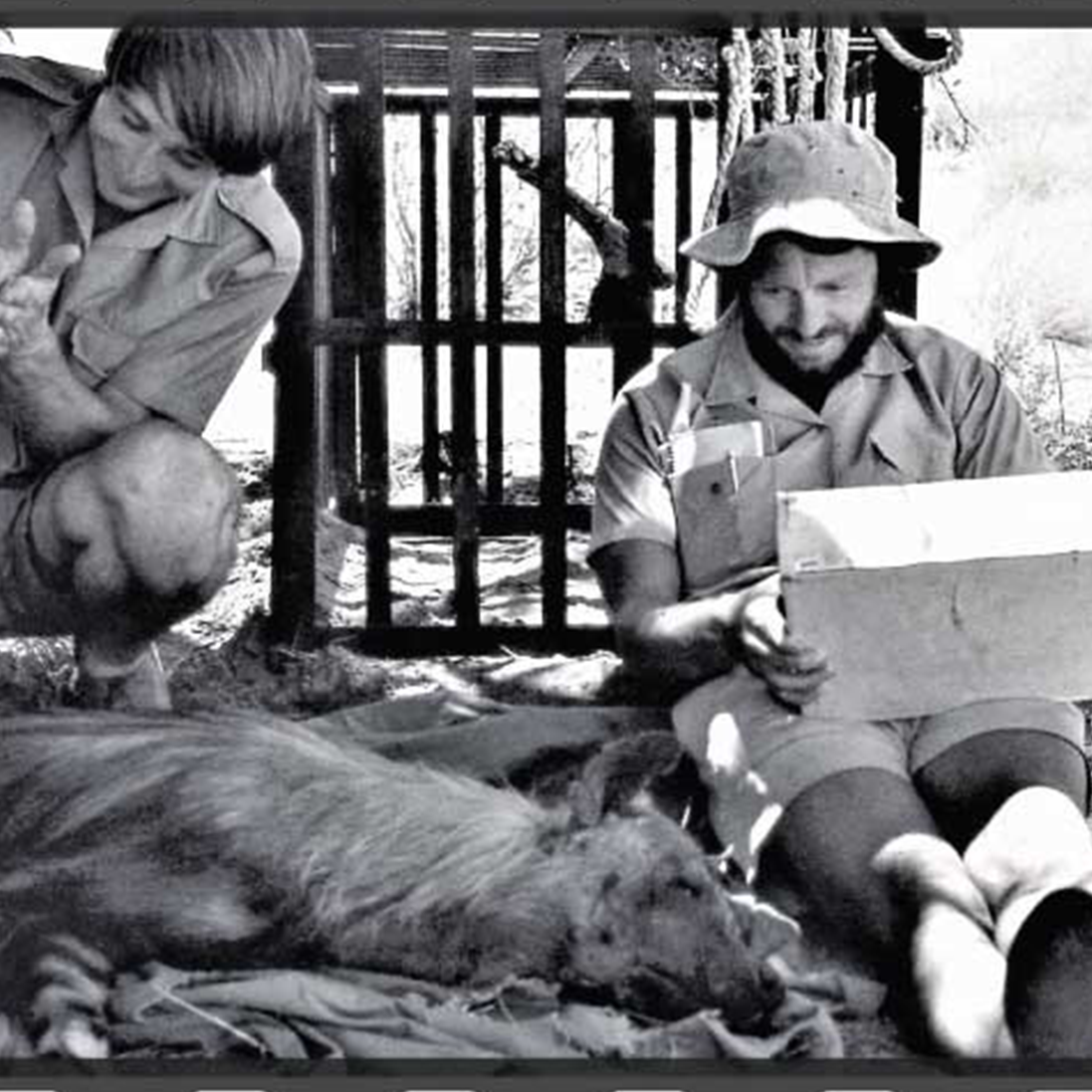In Memorium: Gus Mills leaves an indelible mark on carnivore conservation