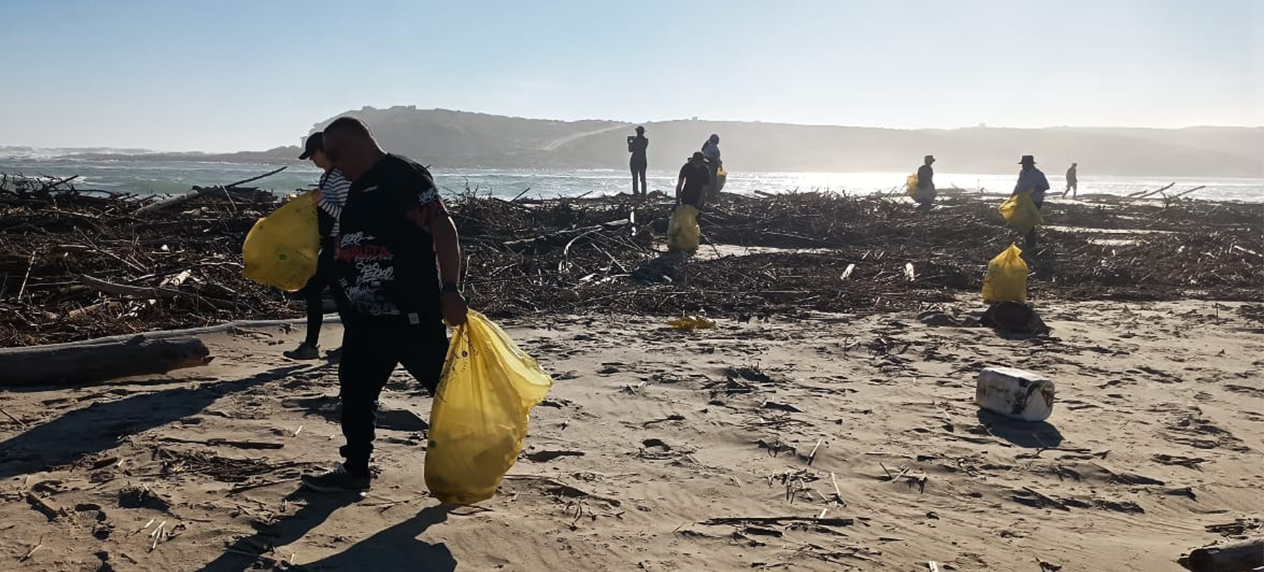 Volunteers collecting rubbish along the Olifants River estuary in Papendorp.