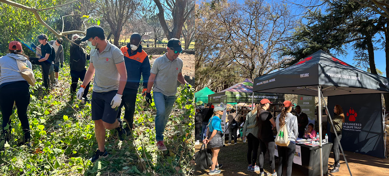 Mandela Day volunteers restoring habitat at Johannesburg Zoo.