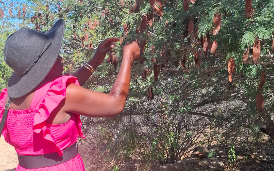 Securing the Future of Medicinal Plants Through Community Action