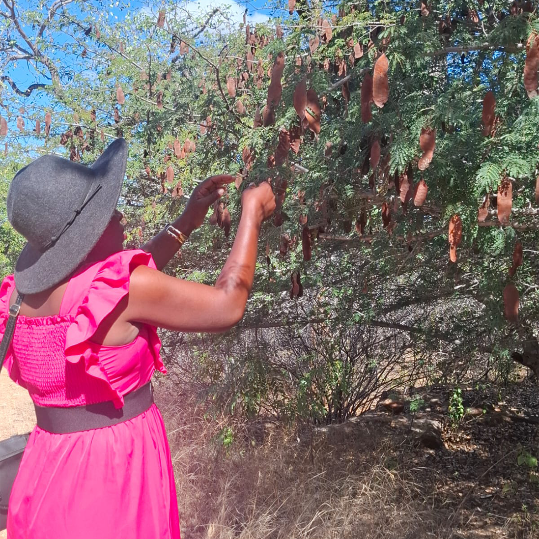 Securing the Future of Medicinal Plants Through Community Action