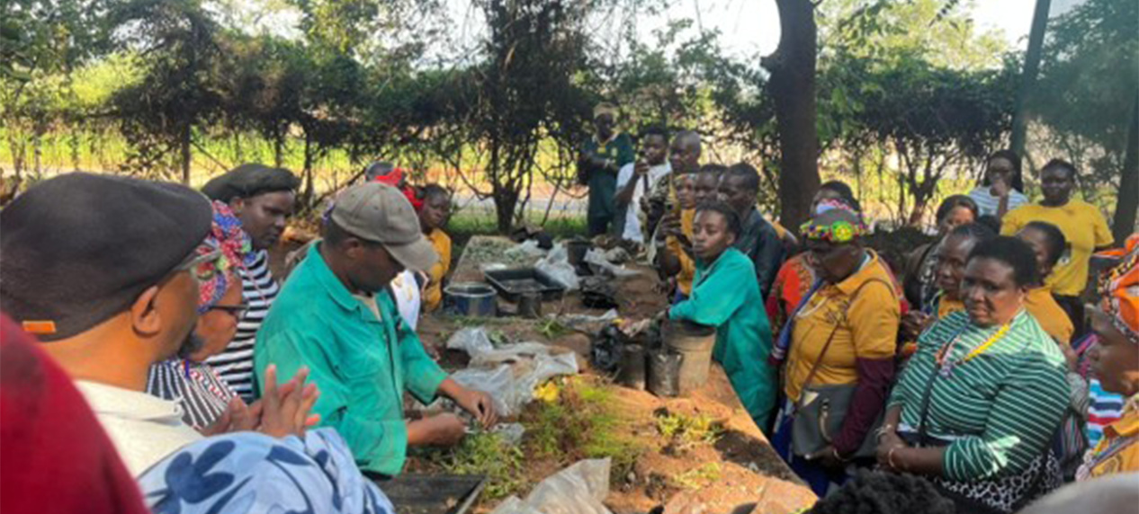 Traditional Health Practitioners learning to cultivate indigenous medicinal plants during an EWT and SANBI training workshop.