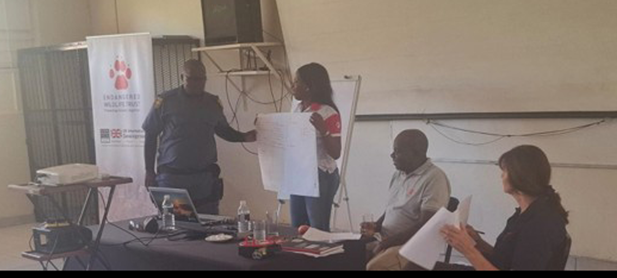 Community-led conservation of threatened medicinal plants through cultivation and stewardship.