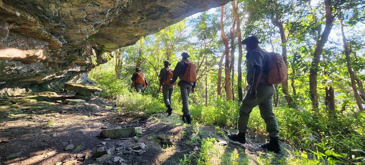 Restoration Rangers working to restore natural habitats and protect biodiversity.