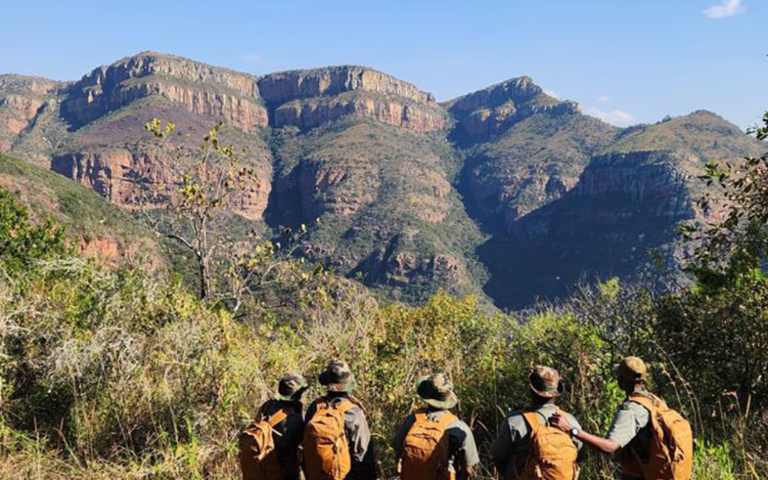 Saluting rangers protecting wildlife and conserving nature