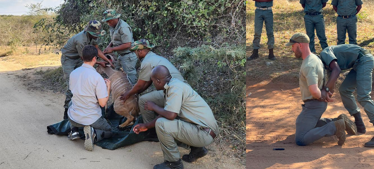 EWT rangers patrolling protected landscapes to safeguard South Africa's threatened wildlife.