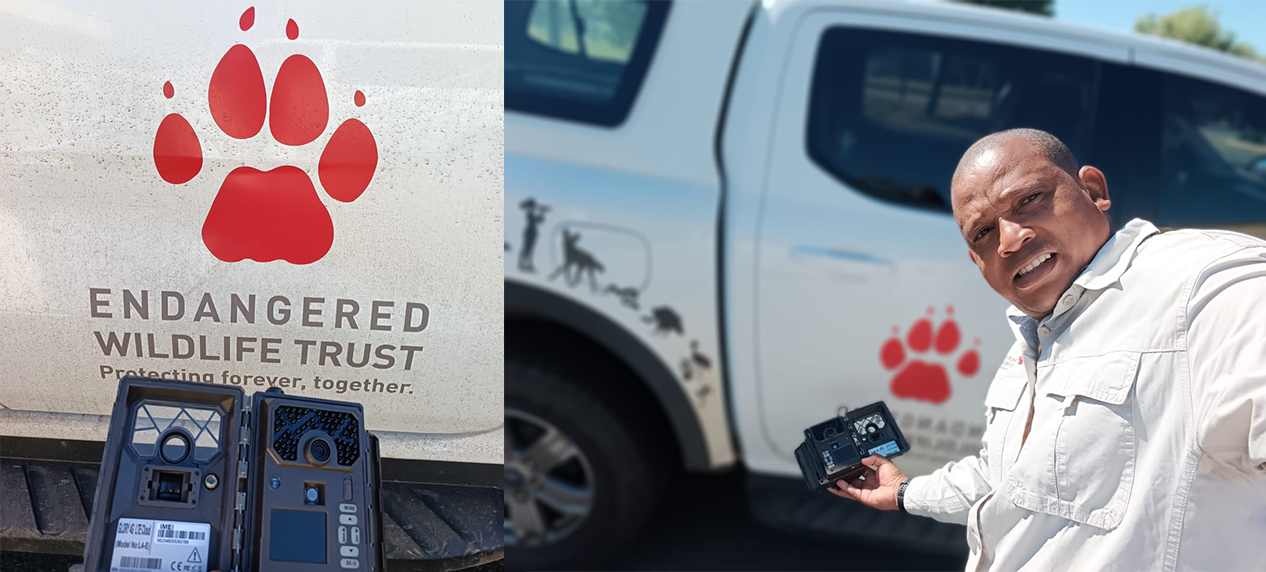 Wildlife monitoring camera installed on power infrastructure in the Northern Cape