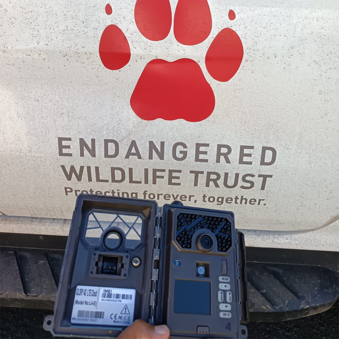 Camera Traps Monitor Bird Activity on Power lines
