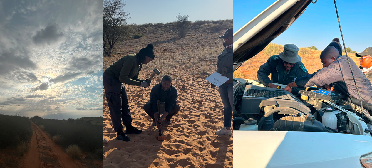 Field researchers monitoring lions across the Kgalagadi Transfrontier Park.