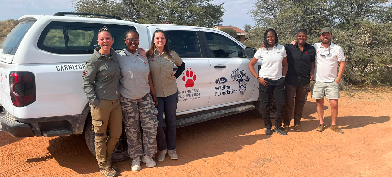 EWT Carnivore Conservation Unit carrying out lion population surveys.