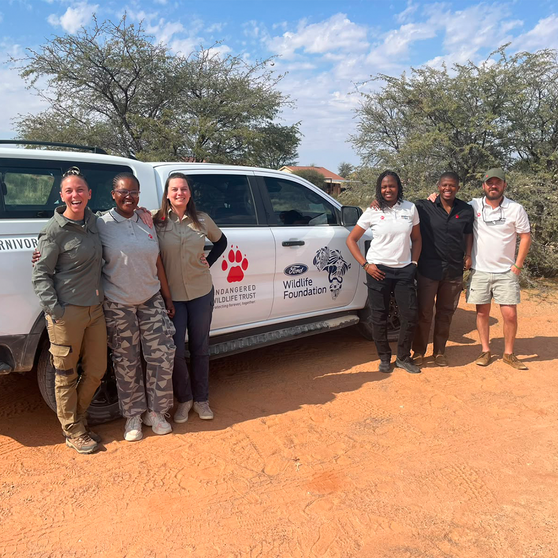 EWT team returns to Kgalagadi Transfrontier Park to conduction lion research