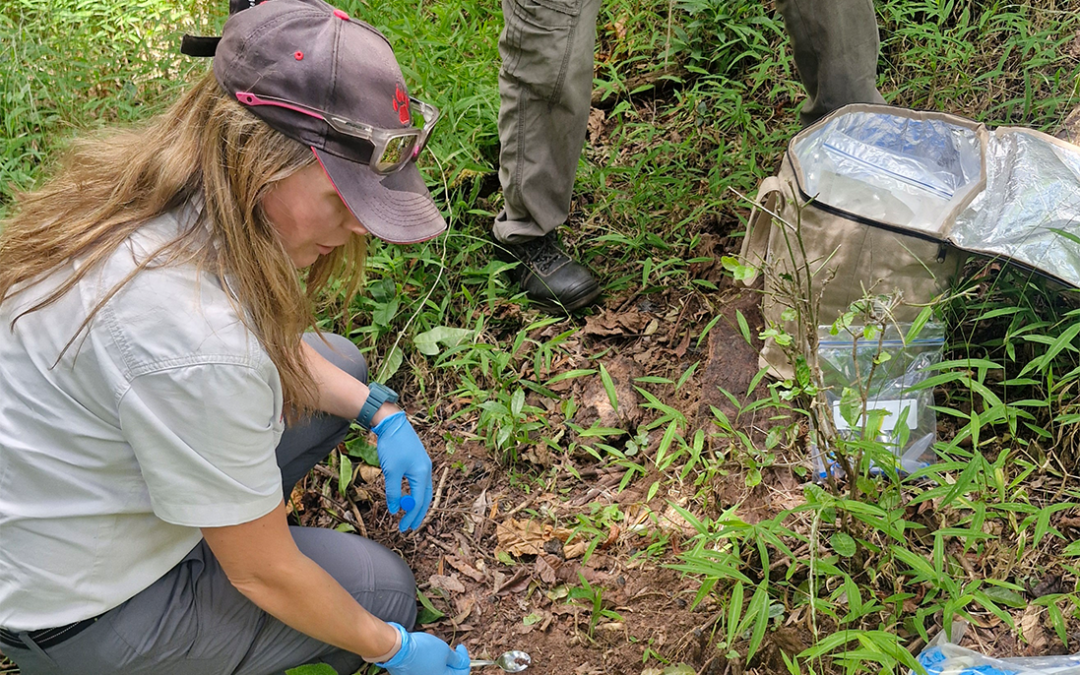 Uncovering Hidden Biodiversity in Northern Malawi