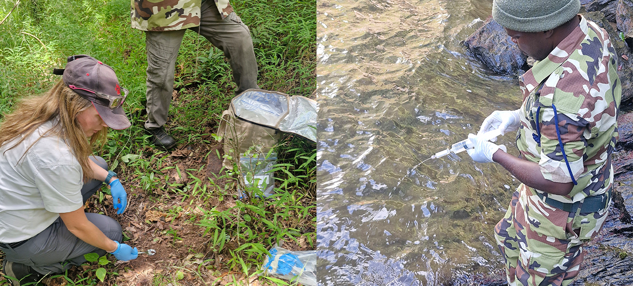 Field team conducting eDNA biodiversity surveys in Malawi's Nyika National Park wetlands and rivers.