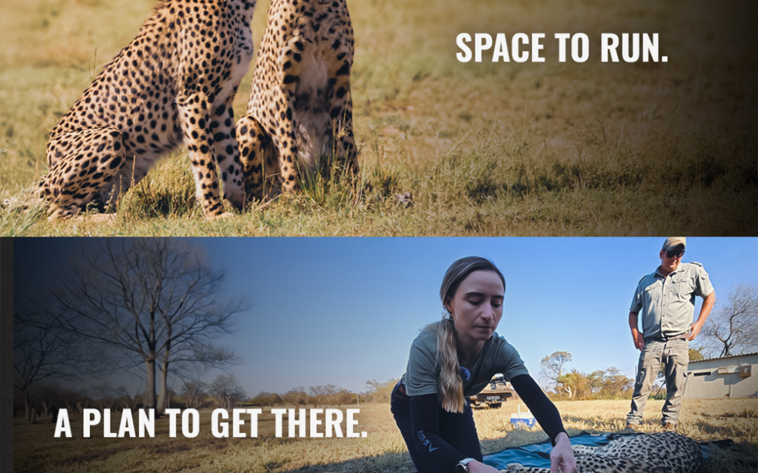 South Africa’s Natural Heritage Needs Support
