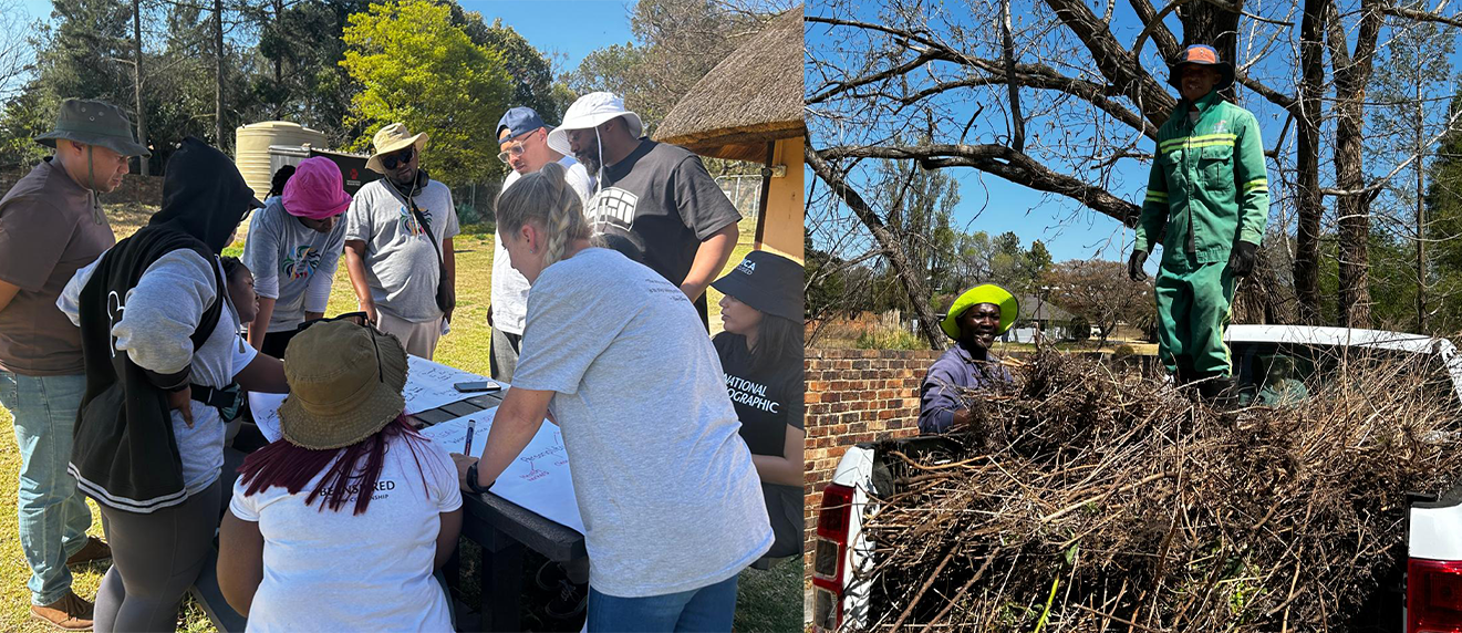 Disney Africa volunteers removing invasive alien plants at the EWT Conservation Campus