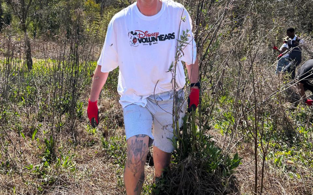 Disney SA team get their hands dirty for conservation