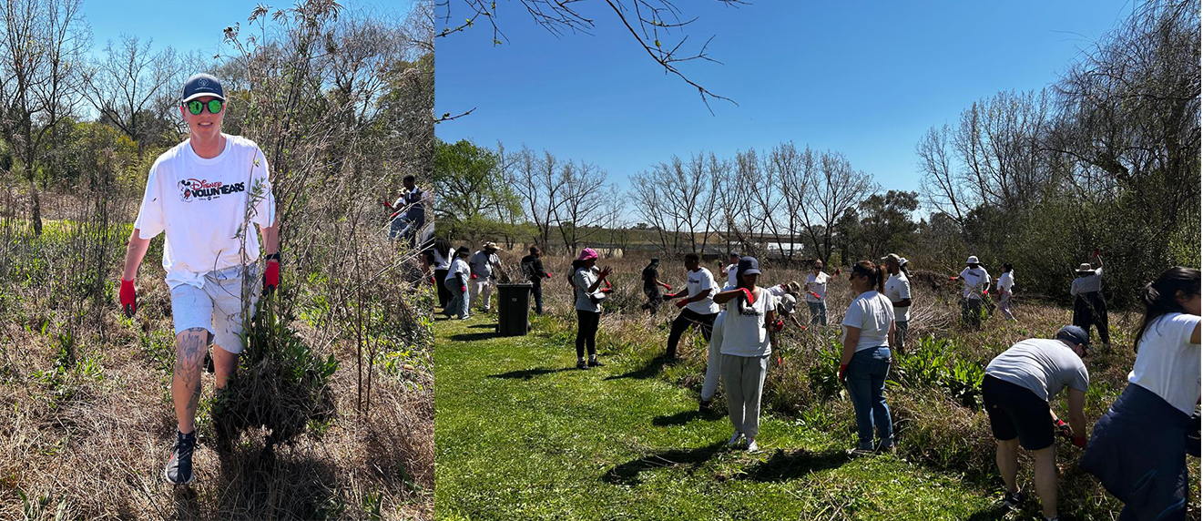 Disney Africa VoluntEARS supporting conservation at the EWT Conservation Campus