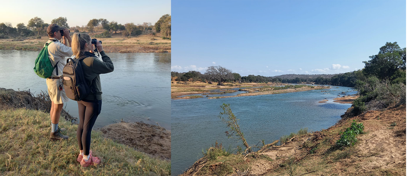 EWT researchers conducting an ecological survey along the Olifants River in the Lowveld