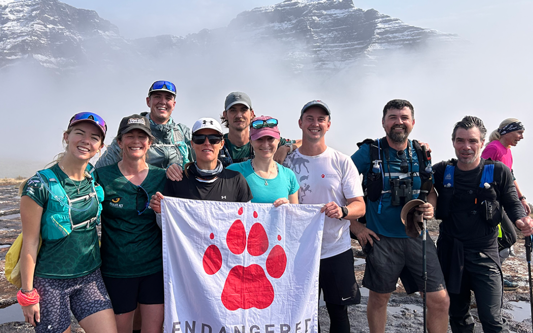 Rhino Peak Challenge 2026 — Conquering the ’Berg for Conservation