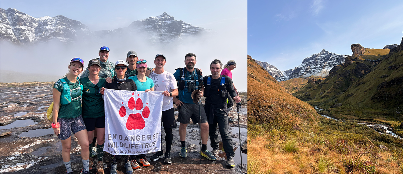 Rhino Peak Challenge 2026 ambassadors climbing in the snow-covered Drakensberg for conservation