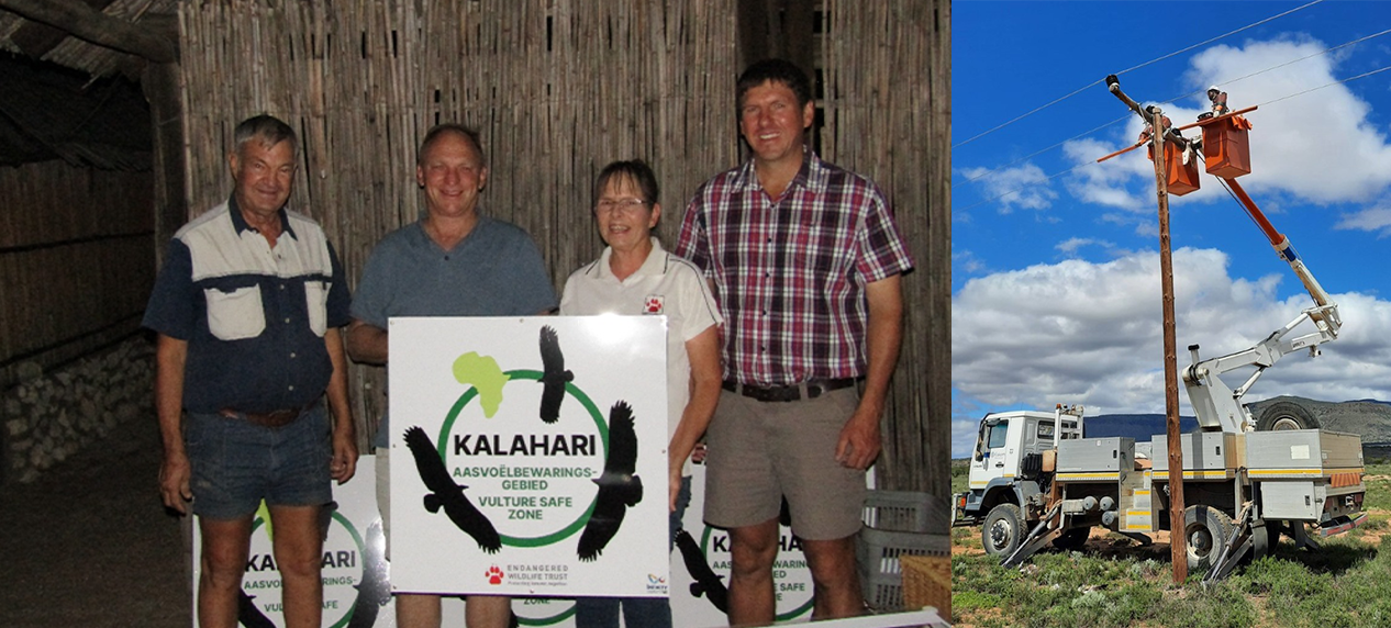 Vulture Safe Zones protecting threatened vultures across farms, reserves and communal land