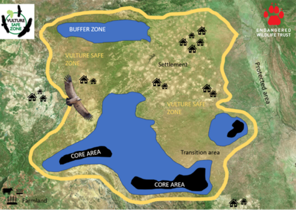 Vulture Safe Zone Alliance connecting safer landscapes for vultures across southern Africa